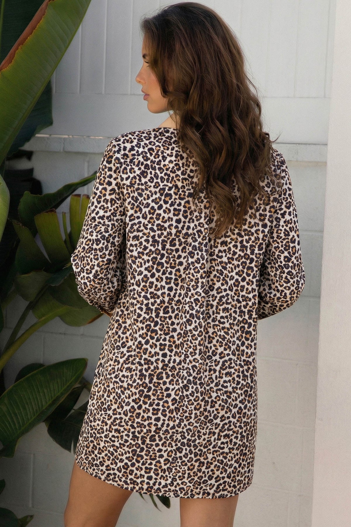 Multicolour Button Striped Collar Leopard Print Long Sleeve Flared Dress